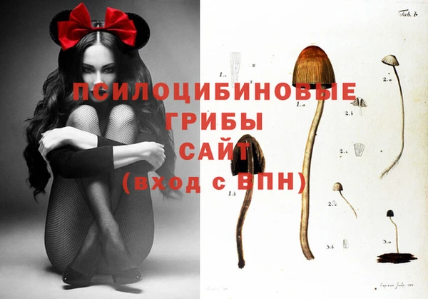 трава Бугульма