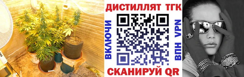 ТГК жижа  площадка официальный сайт  Цоци-Юрт 