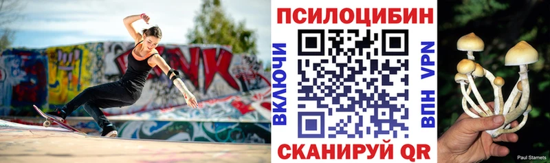 Псилоцибиновые грибы Cubensis  OMG tor  Цоци-Юрт 