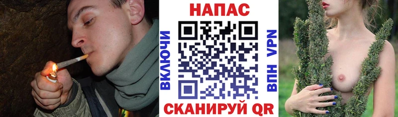 Каннабис план  Цоци-Юрт 